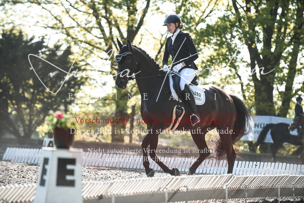 DSC_8392 | Pferde- und Turnierfotografie in Westsachsen. Pferdeportraits, Auftragszeichnungen und intuitive Kunst.