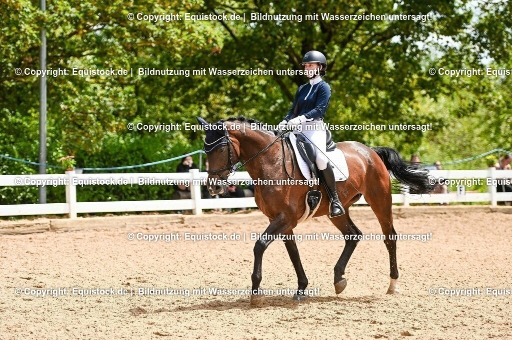 20230716_03_Dressurprfg. Kl.L - Tr._0290 | equistock
