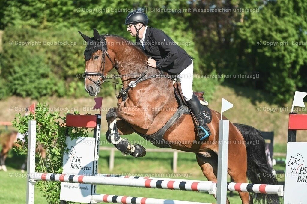 20230908_14-15_Springpferde-A_0034 | equistock