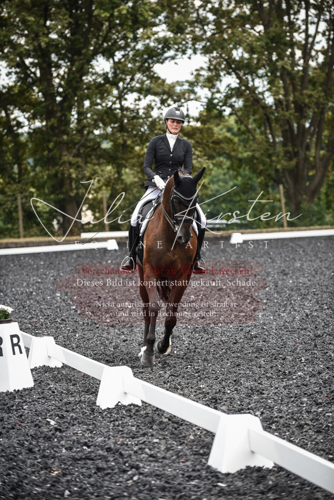 DSC_4863 | Pferde- und Turnierfotografie in Westsachsen. Pferdeportraits, Auftragszeichnungen und intuitive Kunst.
