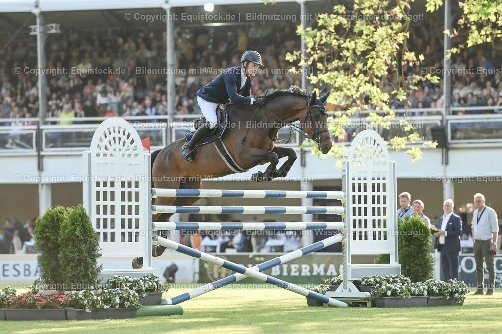 20230526_Pferdenacht_0037 | equistock