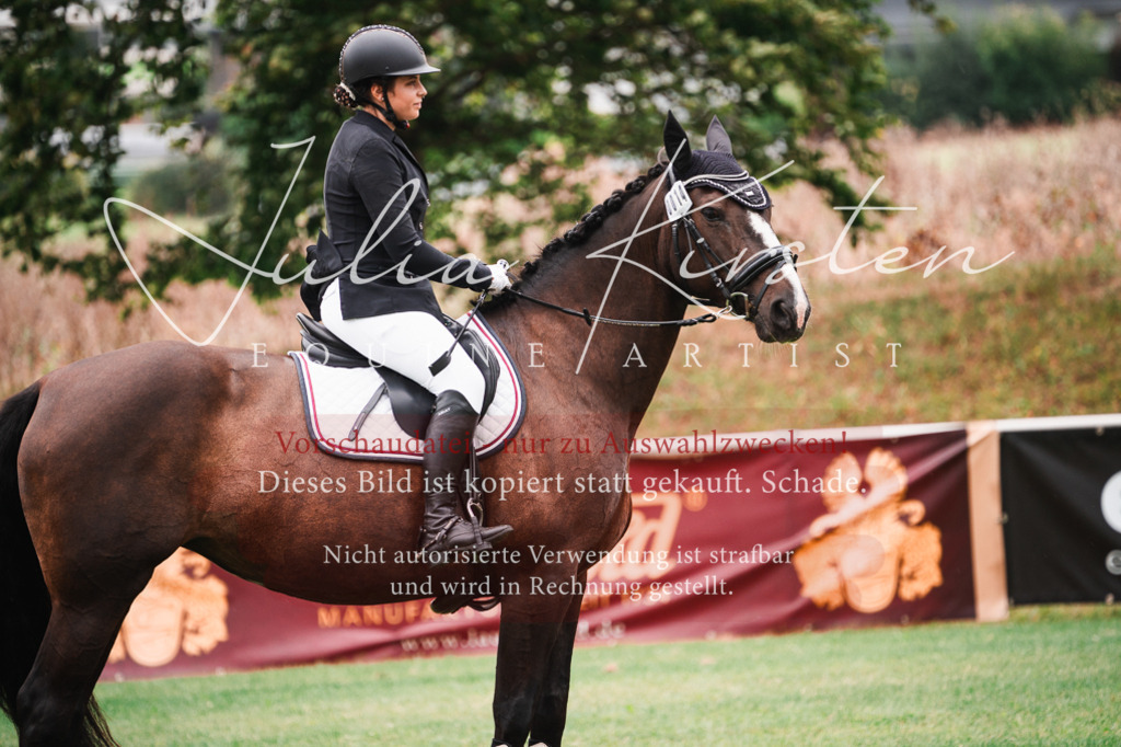 DSC_5827 | Pferde- und Turnierfotografie in Westsachsen. Pferdeportraits, Auftragszeichnungen und intuitive Kunst.