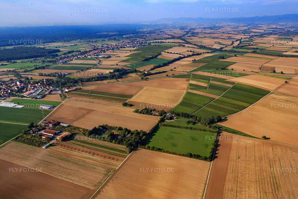 Luftbild: Koppel von Trakehner-Friedrich in Minfeld im Bundesland Rheinland-Pfalz in Deutschland. Foto: IMG_084473.jpg vom 03.10.2015 durch Werner Riehm/FLY-FOTO.de