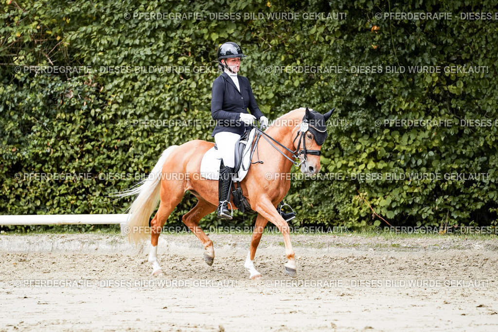 DSC04104 | Pferdegrafie