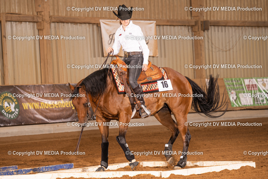 NID01194 | dv-media-shop - Realisiert mit Pictrs.com