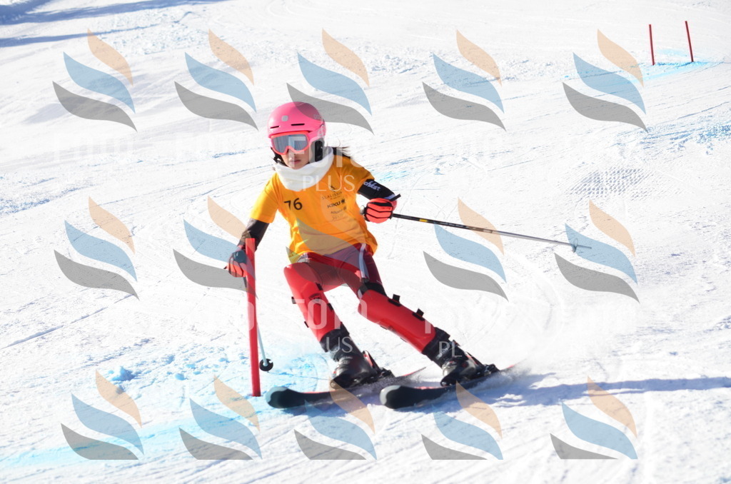 C5943 | holidayphoto