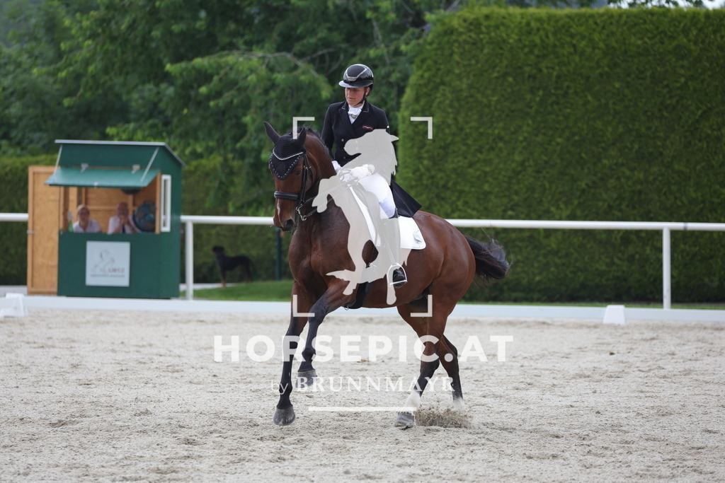 0P6A7048 | Willkommen bei Brunnmayr - Design & Fotografie – Ihrem Spezialisten für Reitturniere und Pferdeveranstaltungen in Oberösterreich, Salzburg und Bayern! Seit über 17 Jahren sind wir leidenschaftlich dabei.