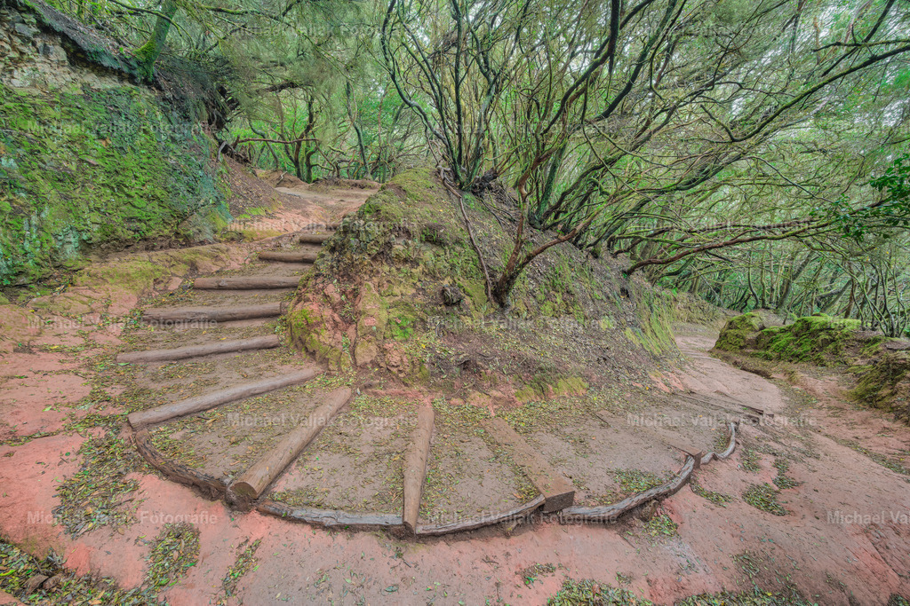 Wanderweg im Anaga-Gebirge | Das Anaga-Gebirge auf Teneriffa ist ein Paradies für Wanderer und Naturliebhaber. Die grünen Pfade durch den Lorbeerwald bieten ein märchenhaftes Erlebnis, das man nicht verpassen sollte. Mit einer Vielzahl von Routen, die für alle Schwierigkeitsgrade geeignet sind, können Besucher die einzigartige Flora und Fauna sowie atemberaubende Aussichten genießen. - Realisiert mit Pictrs.com