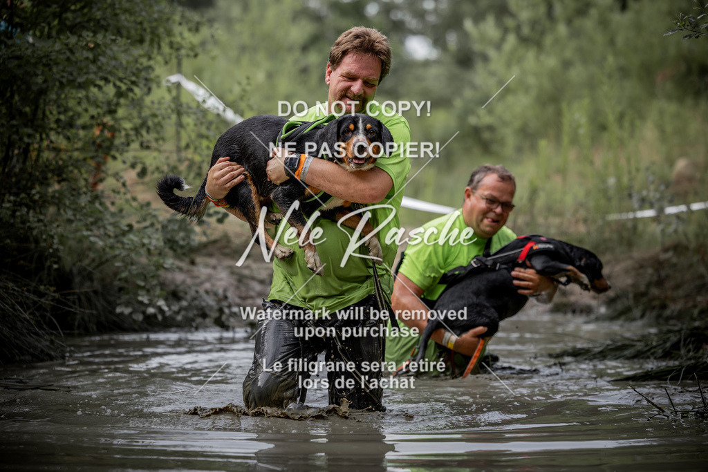 nelerasche_so0800-0930_152 | nelerasche