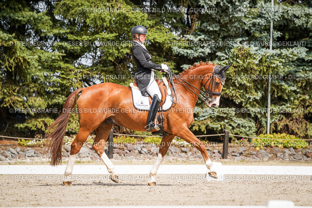 DSC06440 | Pferdegrafie