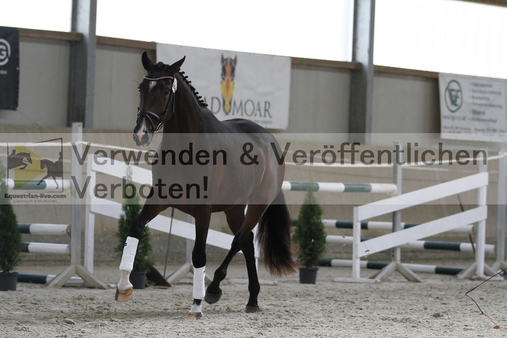 _MG_9814 | equestrian-live-com