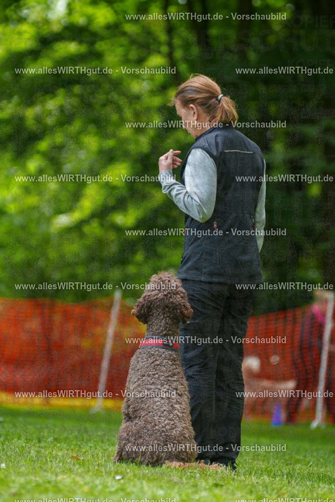 @allesWIRTHgut_Tierfotografie - www.allesWIRTHgut.de - 7R501065 | Professionelle Tierfotografie in Mönchengladbach von Daniel Wirth (allesWIRTHgut). Liebevolle & natürliche Bilder von Hunden & Katzen für unvergessliche Erinnerungen.