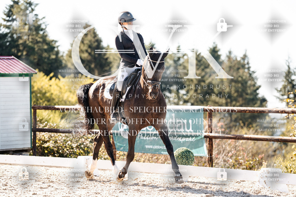 CK905781 | Turnierfotografie Pferdefotografie Trier Rheinland-Pfalz Pferdesport Reitsport Tierfotografie Sportfotografie Pferdevideo Pferdevideografie Equestrianvideography equestrianphotography  - Realisiert mit Pictrs.com