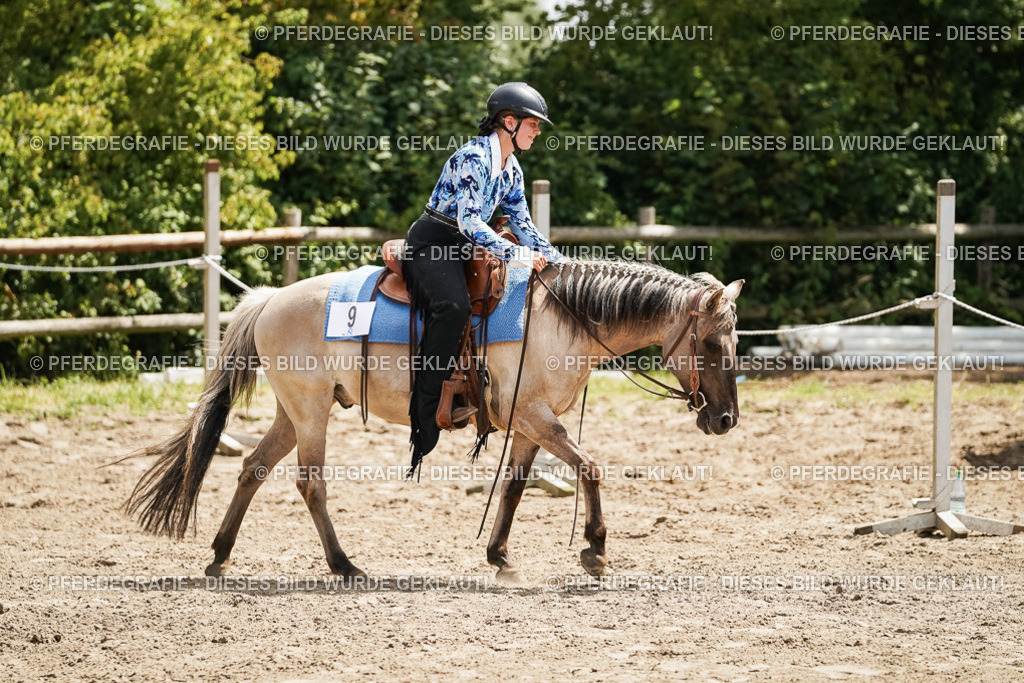 DSC07906 | Pferdegrafie