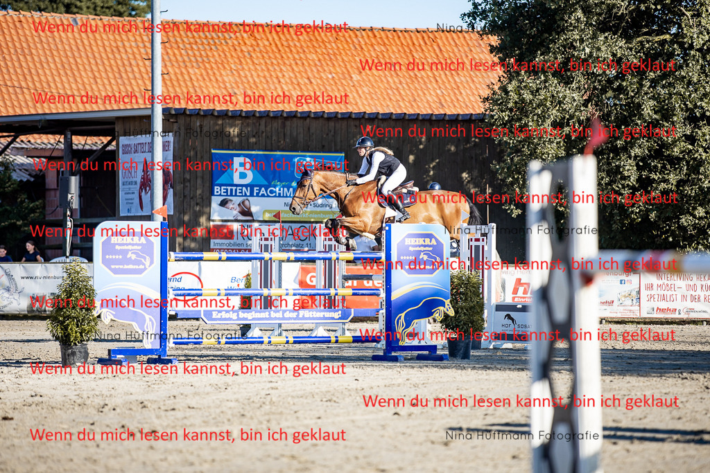 BK1A8290 | Turnierbilder Turnierfotos Nina Hüffmann Turnierfotografie Pferdefotografie Tierzeichnung Haustierzeichnung Pferdezeichnung Hundezeichnung Videograf  - Realisiert mit Pictrs.com