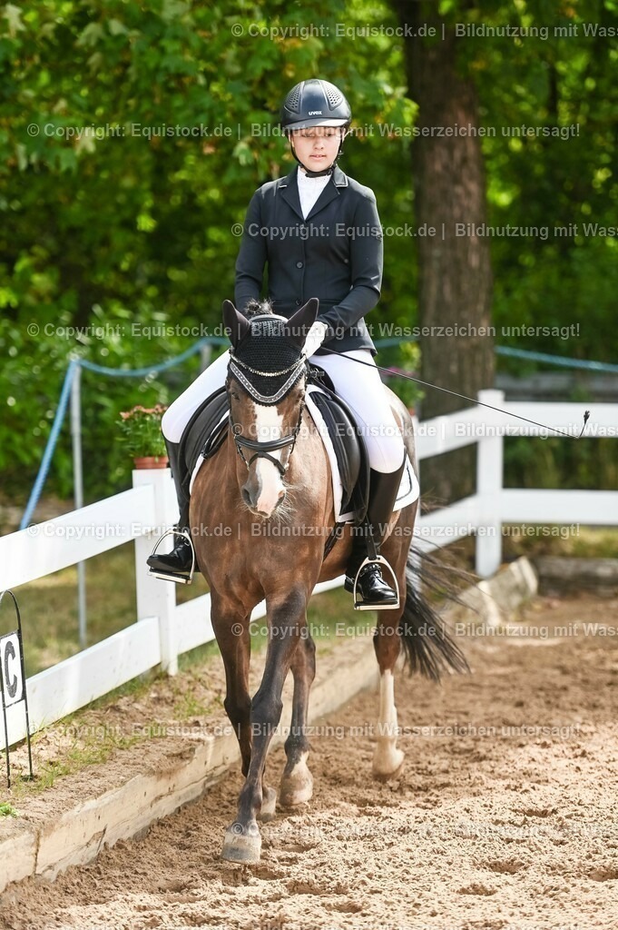 20230716_10-1_Reiter-WB Schritt - Trab - Galopp_0178 | equistock