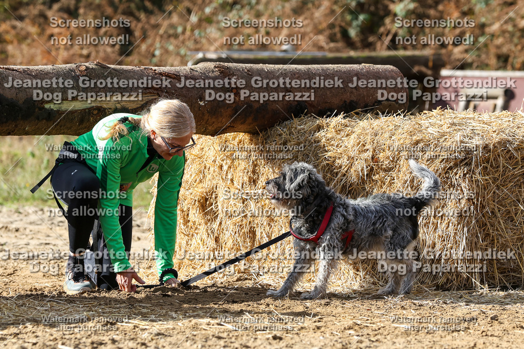 Dog Paparazzi - Strongdog 10-25-5256 | Dog Paparazzi Jeanette Grottendiek Fotografie & Videografie - Realisiert mit Pictrs.com