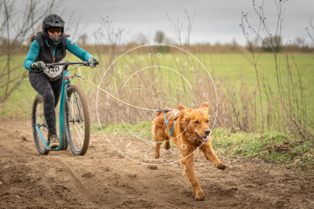 DV3A1458 | Hundefotografie, Tierfotograf, Pfotenfotografie, Fotoshooting Hund, Hunde Portrait, Hundesport, Hundeportraits, Heideshooting, Hunde, Sportfotograf, Hundefotograf, Turnierhundsport, THS,  - Realisiert mit Pictrs.com