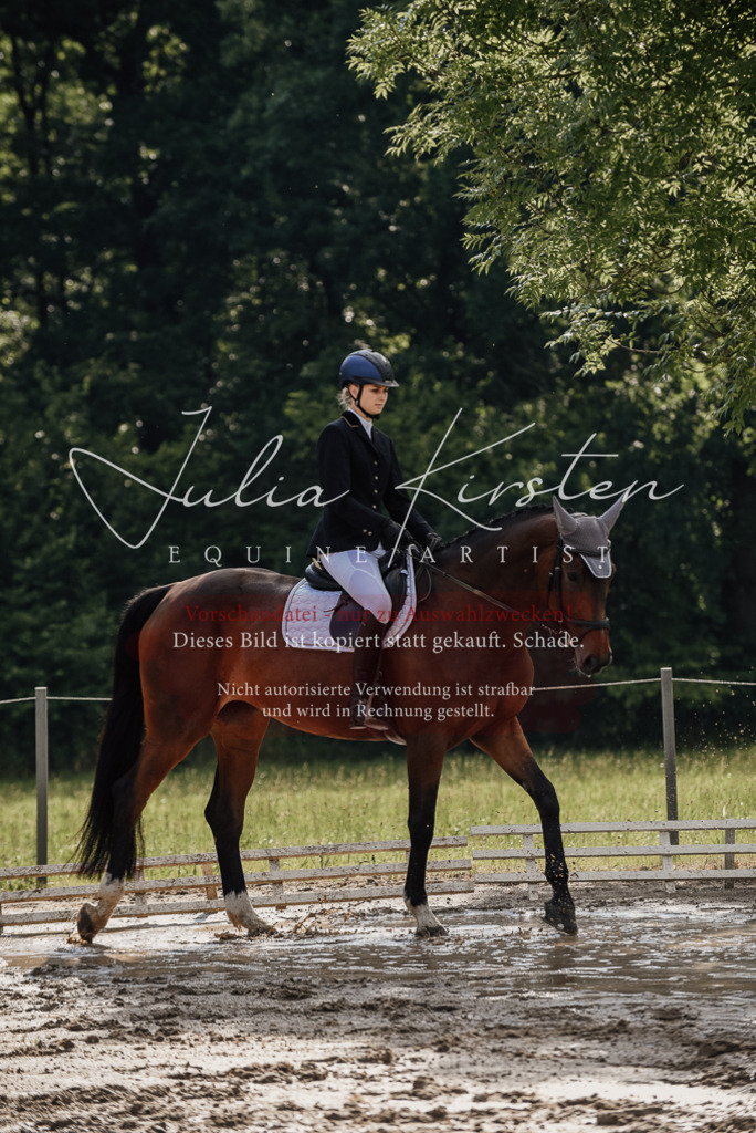DSC_8990 | Pferde- und Turnierfotografie in Westsachsen. Pferdeportraits, Auftragszeichnungen und intuitive Kunst.