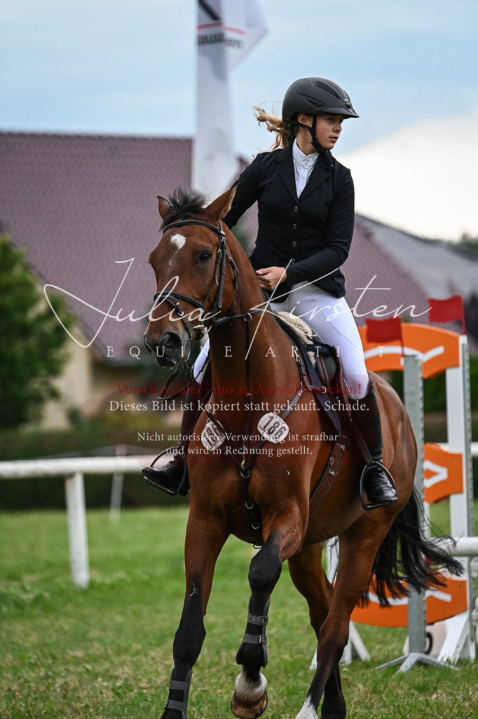 DSC_8494 | Pferde- und Turnierfotografie in Westsachsen. Pferdeportraits, Auftragszeichnungen und intuitive Kunst.