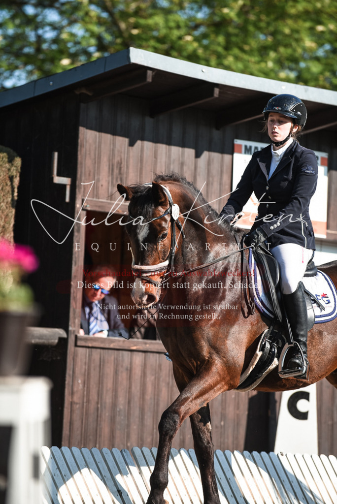 DSC_8272 | Pferde- und Turnierfotografie in Westsachsen. Pferdeportraits, Auftragszeichnungen und intuitive Kunst.