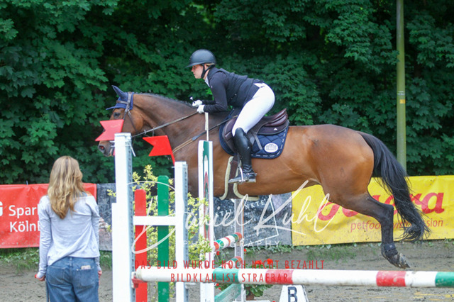 DKP44994 | Turnierfotos kaufen im Webshop von Daniel Kuhl Photography – entdecke professionelle Reitsportfotos aus Turnieren & Events. Hochwertige Turnierbilder online bestellen & sichern. Jetzt Fotos von Reitsportturnieren kaufen!