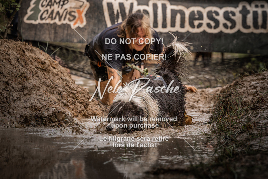 nelerasche_Hoope2026_Sa1030-1100_320 | nelerasche