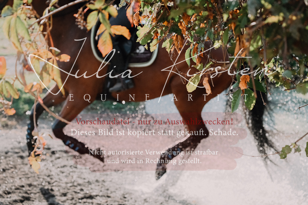 DSC_8988 | Pferde- und Turnierfotografie in Westsachsen. Pferdeportraits, Auftragszeichnungen und intuitive Kunst.