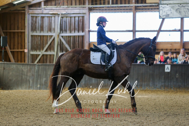 IMG_0940 | Turniersportfotografie; Pferdefotografie; Dressurfotografie