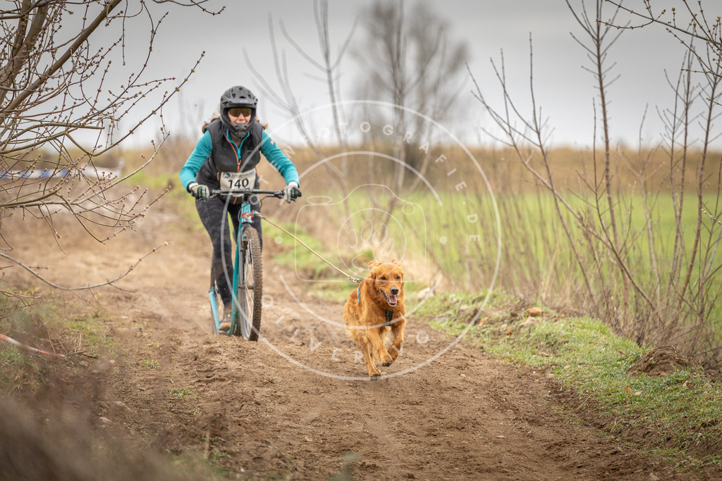 DV3A1441 | Hundefotografie, Tierfotograf, Pfotenfotografie, Fotoshooting Hund, Hunde Portrait, Hundesport, Hundeportraits, Heideshooting, Hunde, Sportfotograf, Hundefotograf, Turnierhundsport, THS,  - Realisiert mit Pictrs.com