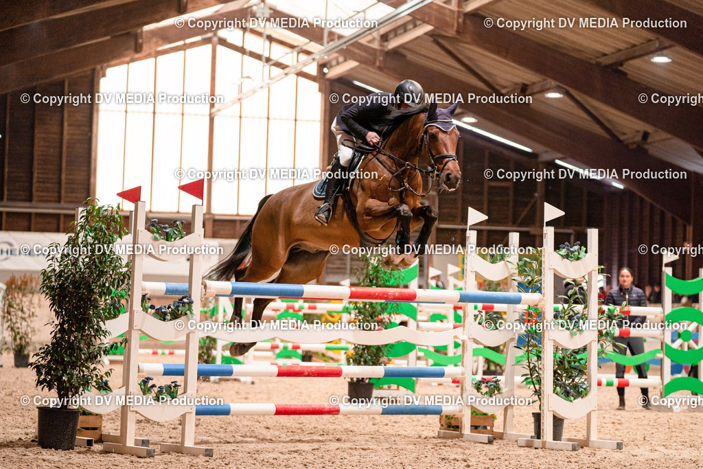 Springen Tag 3-301 | dv-media-shop - Realisiert mit Pictrs.com