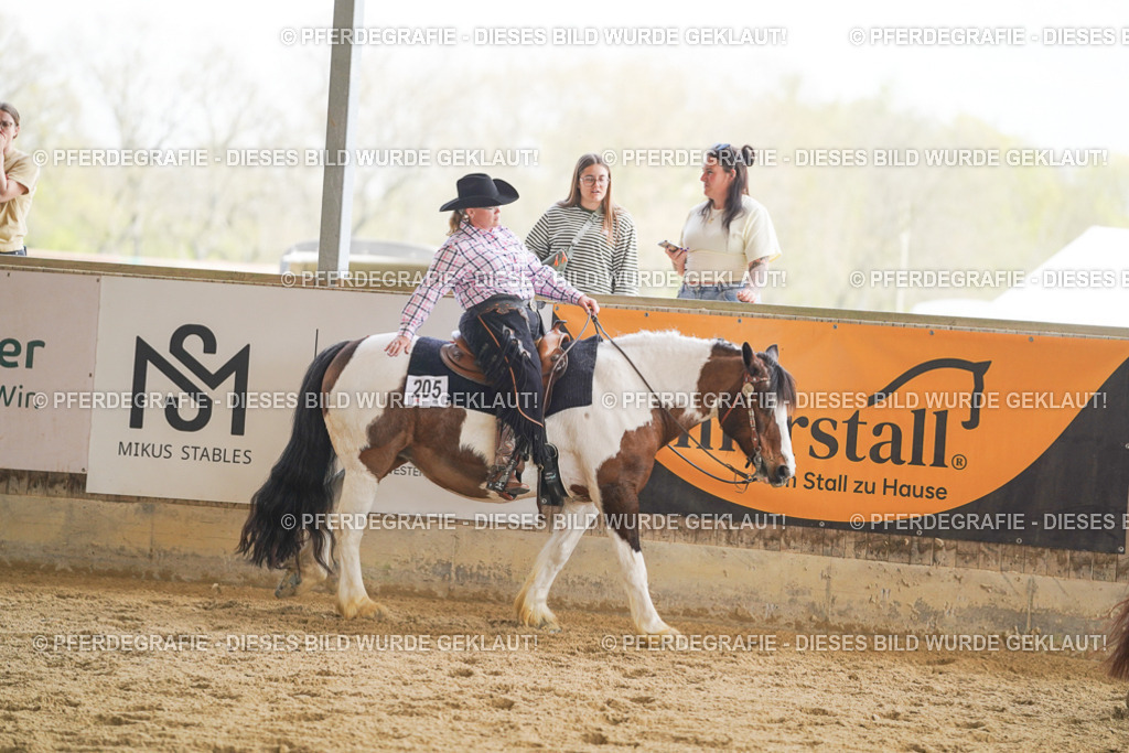 DSC02483 | Pferdegrafie