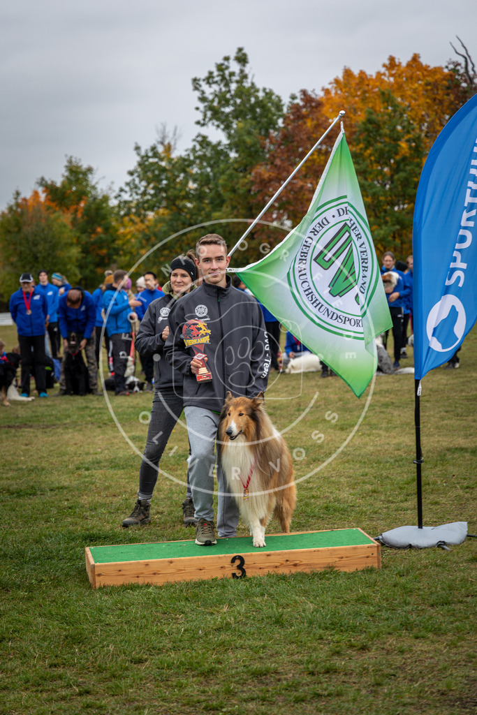 Pfotenfotografie_0L8A0522 | Hundefotografie, Tierfotograf, Pfotenfotografie, Fotoshooting Hund, Hunde Portrait, Hundesport, Hundeportraits, Heideshooting, Hunde, Sportfotograf, Hundefotograf, Turnierhundsport, THS,  - Realisiert mit Pictrs.com