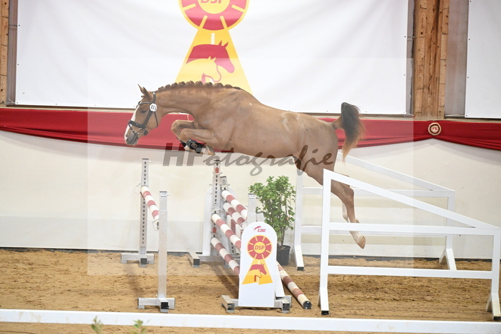 Kat.-Nr. 35 v. Ogano Sitte_Hannöver_2251258 | hf-fotografie - Realizzato con Pictrs.com