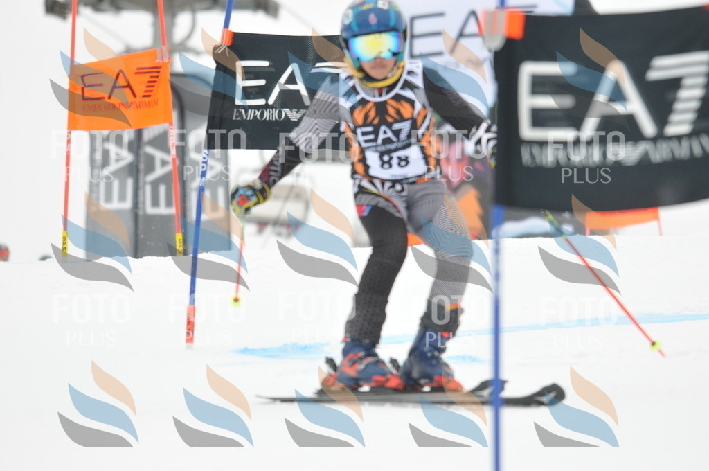 DSC_7965 | holidayphoto