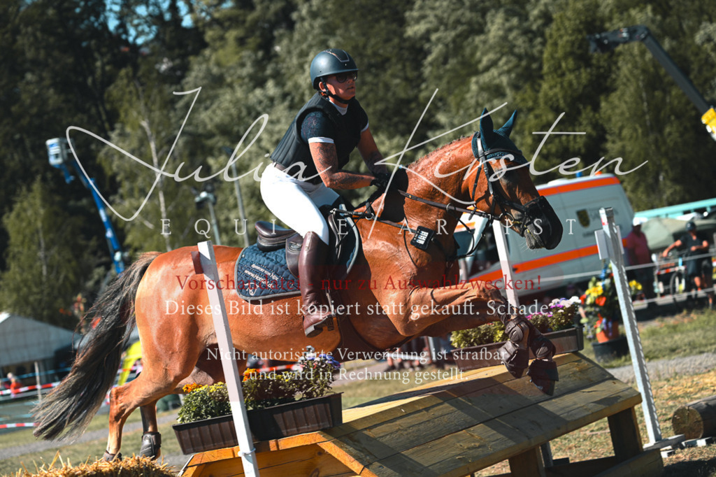 DSC_8025 | Pferde- und Turnierfotografie in Westsachsen. Pferdeportraits, Auftragszeichnungen und intuitive Kunst.