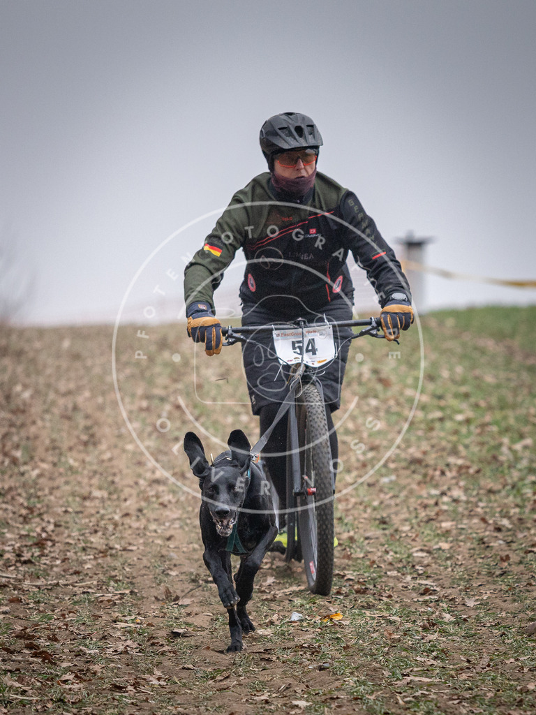 Pfotenfotografie_DV3A1118 | Hundefotografie, Tierfotograf, Pfotenfotografie, Fotoshooting Hund, Hunde Portrait, Hundesport, Hundeportraits, Heideshooting, Hunde, Sportfotograf, Hundefotograf, Turnierhundsport, THS,  - Realisiert mit Pictrs.com