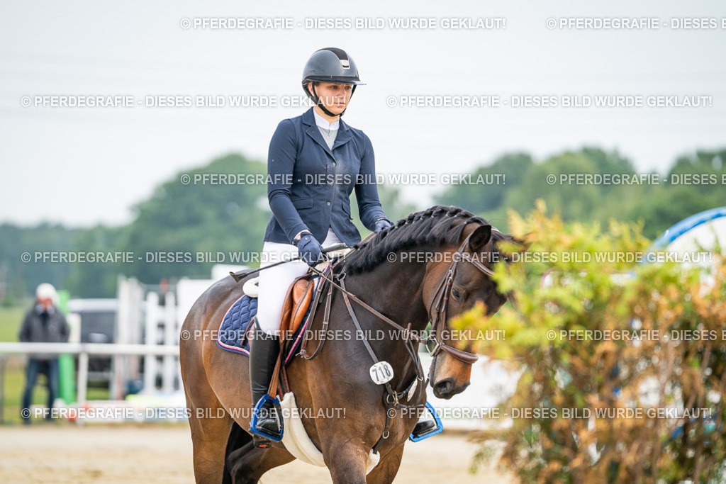 DSC09209 | Pferdegrafie