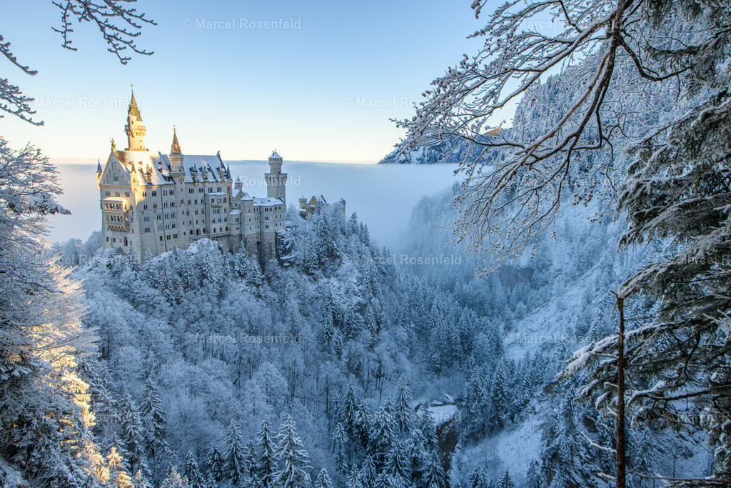 _DSC4558 | foto-rosenfeld