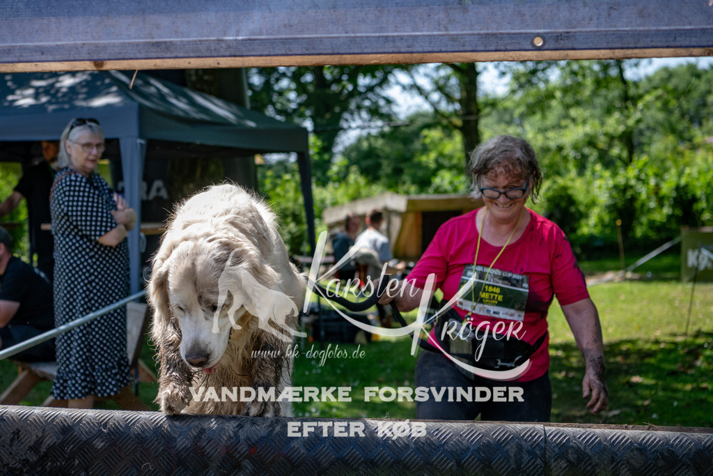 1256_ZZ90316 | kk-dogfotos