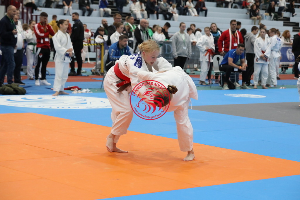 1J7A2632 | Fotos vom Adler Cup - Pictures from Adler Cup

Hier findet Ihr alle Eindrücke und großen Momente der Adler Cup Wochenenden. Here you will find all impressions and great moments of the Adler Cup weekends. - Realisiert mit Pictrs.com