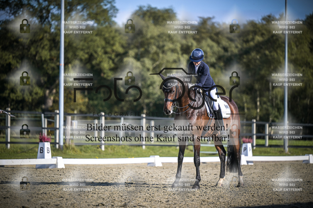 DOS_B837 | Entdecke hochwertige Reitturnierfotos von Foto Oger. Professionell, emotional und authentisch – jetzt Lieblingsmomente im Shop bestellen.Deutschlandweite Turnierfotografie. - Realisiert mit Pictrs.com