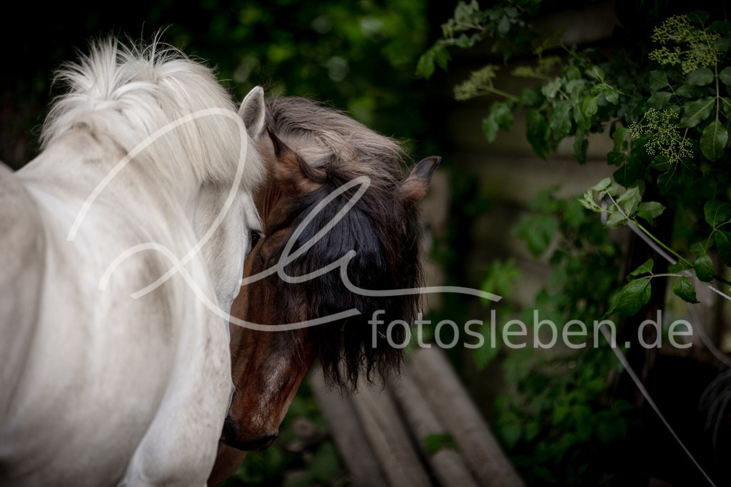 846A0473 | fotosleben - Realisiert mit Pictrs.com