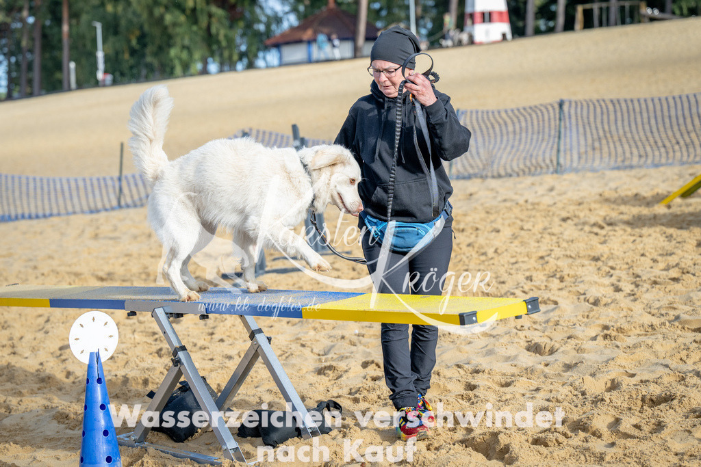 0950_ZZ92885 | kk-dogfotos