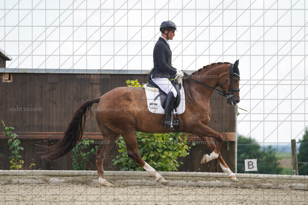 20230826-FAH05935 | Forstinning, 2023, Dressurturnier, Turniersportbilder, Turnierfotografen Bayern, Fotoagentur Herrmann, Reitsportfotografie, Turnierbilder