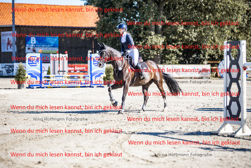 BK1A7943 | Turnierbilder Turnierfotos Nina Hüffmann Turnierfotografie Pferdefotografie Tierzeichnung Haustierzeichnung Pferdezeichnung Hundezeichnung Videograf  - Realisiert mit Pictrs.com