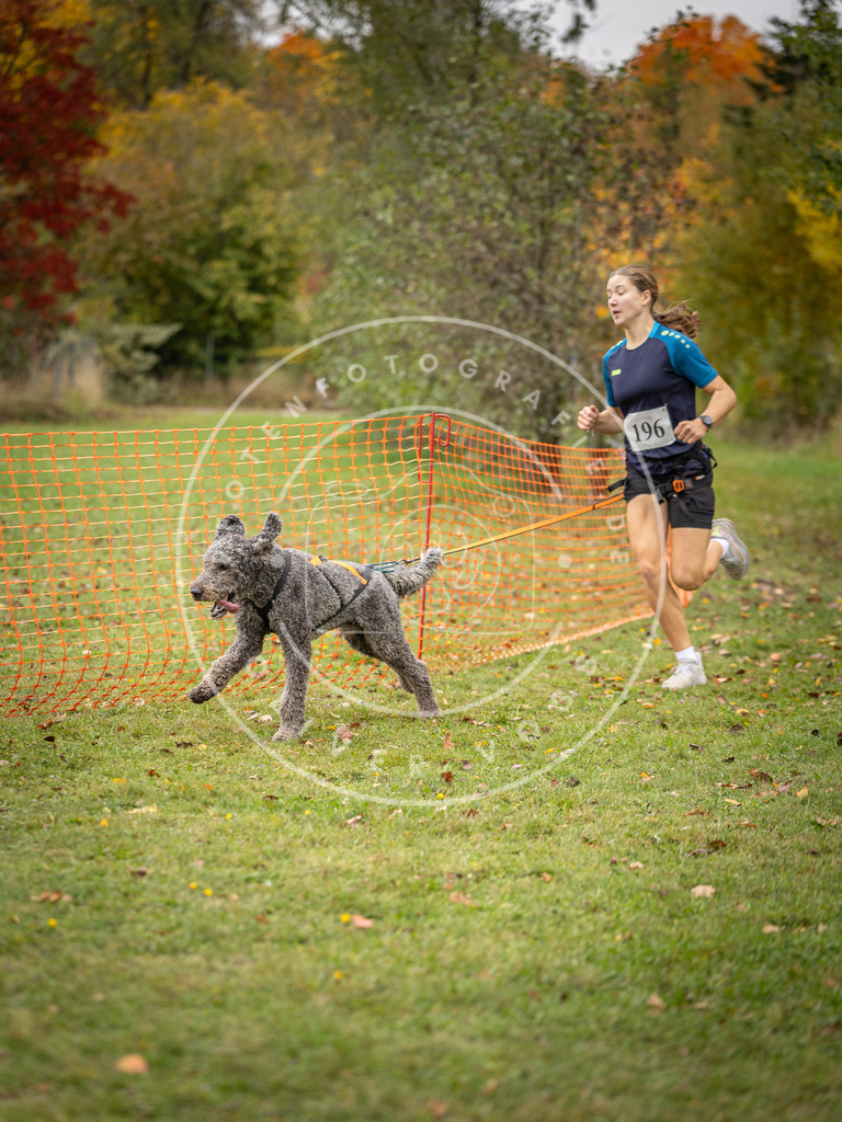 Pfotenfotografie_DV3A3869 | Hundefotografie, Tierfotograf, Pfotenfotografie, Fotoshooting Hund, Hunde Portrait, Hundesport, Hundeportraits, Heideshooting, Hunde, Sportfotograf, Hundefotograf, Turnierhundsport, THS,  - Realisiert mit Pictrs.com