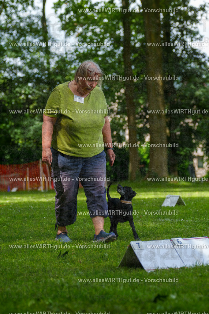 @allesWIRTHgut_Tierfotografie - www.allesWIRTHgut.de - 124955-7R509486 | Professionelle Tierfotografie in Mönchengladbach von Daniel Wirth (allesWIRTHgut). Liebevolle & natürliche Bilder von Hunden & Katzen für unvergessliche Erinnerungen.