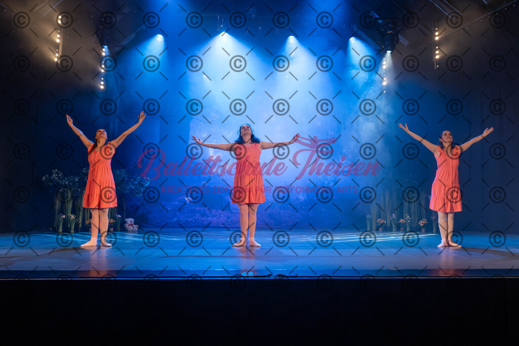Ballettaufführung-919 | Bildershop Lem'n Entertainment - Realisiert mit Pictrs.com