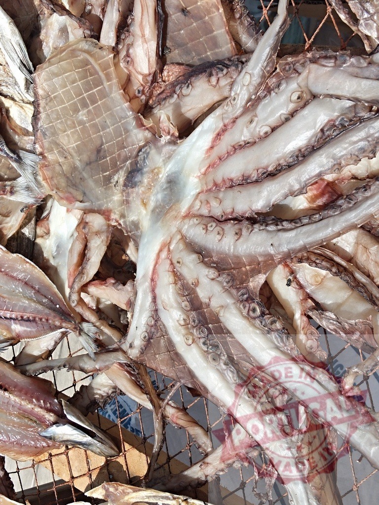 Dried octopus tentacles and fish drying under sun | Octopus and fish drying on a net, preserving seafood for consumption - Realized with Pictrs.com